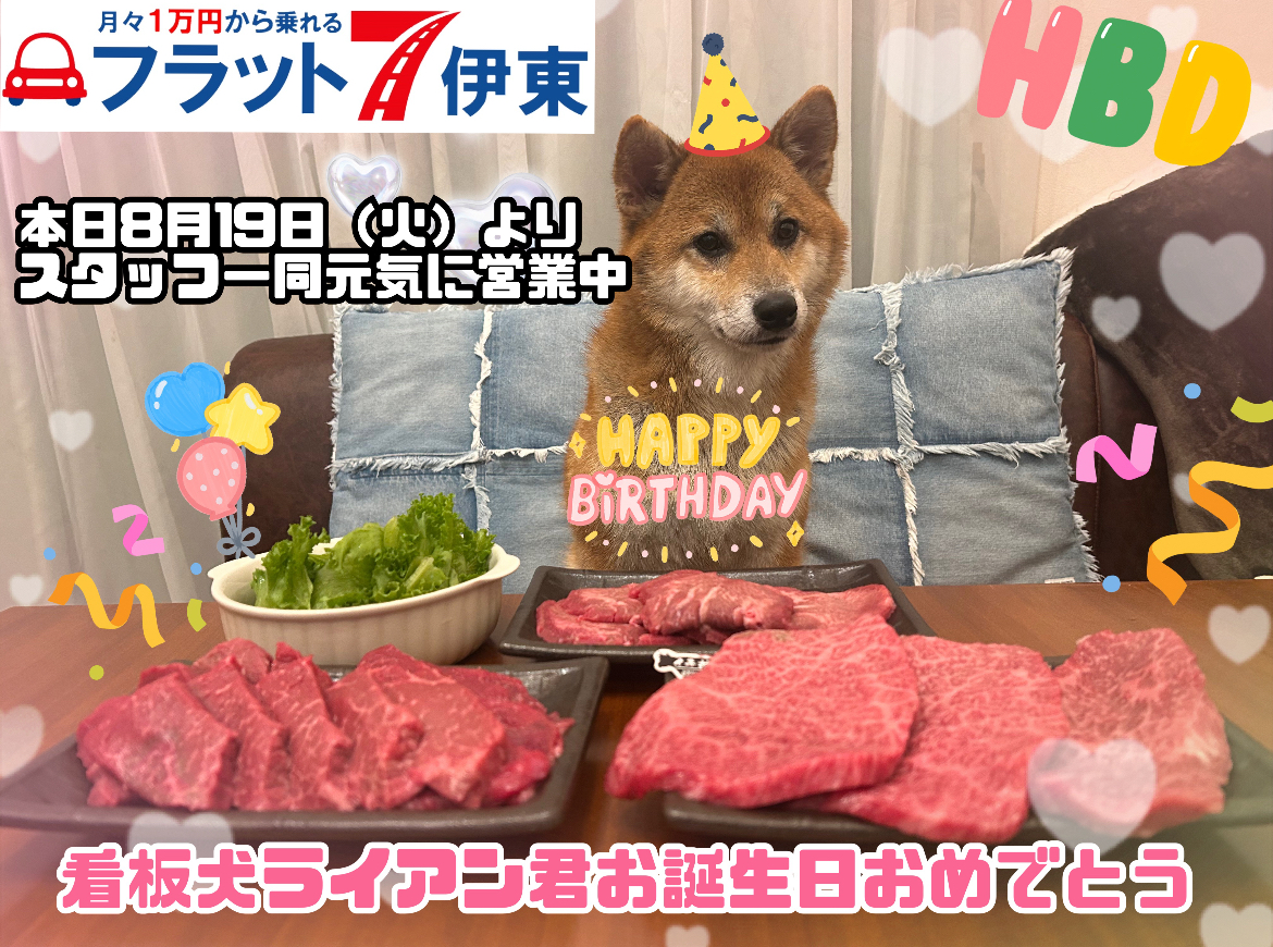 【伊東店】本日8月19日より通常営業♫｜静岡県カーリース専門店ならフラット７静岡会