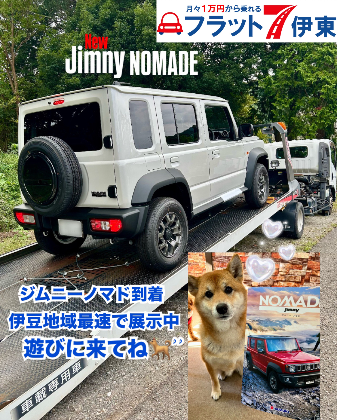 【伊東店】✨️話題のノマド地域最速で展示中✨️｜静岡県カーリース専門店ならフラット７静岡会