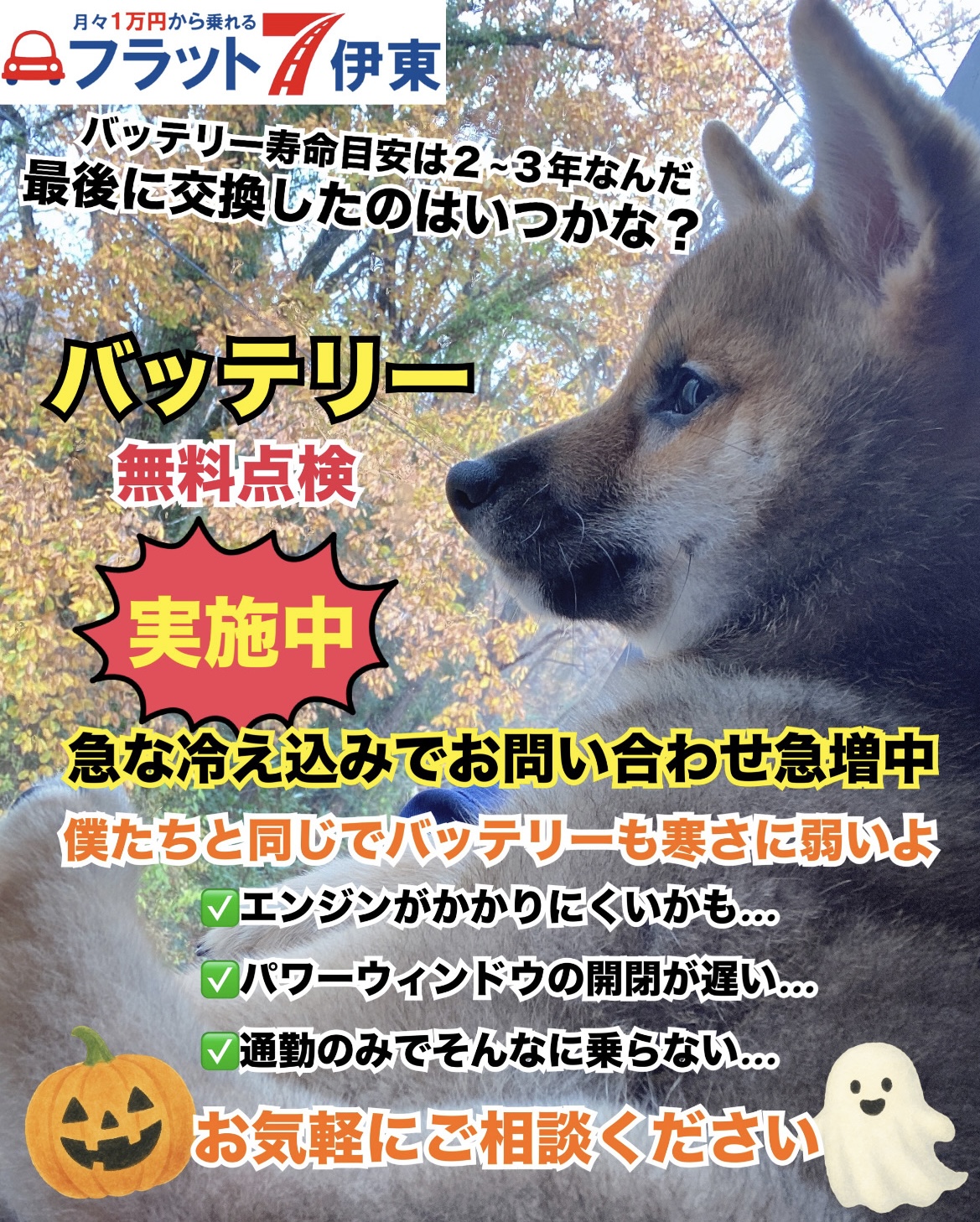 【伊東店】バッテリー上がり急増！無料診断点検実施中✨｜静岡県カーリース専門店ならフラット７静岡会
