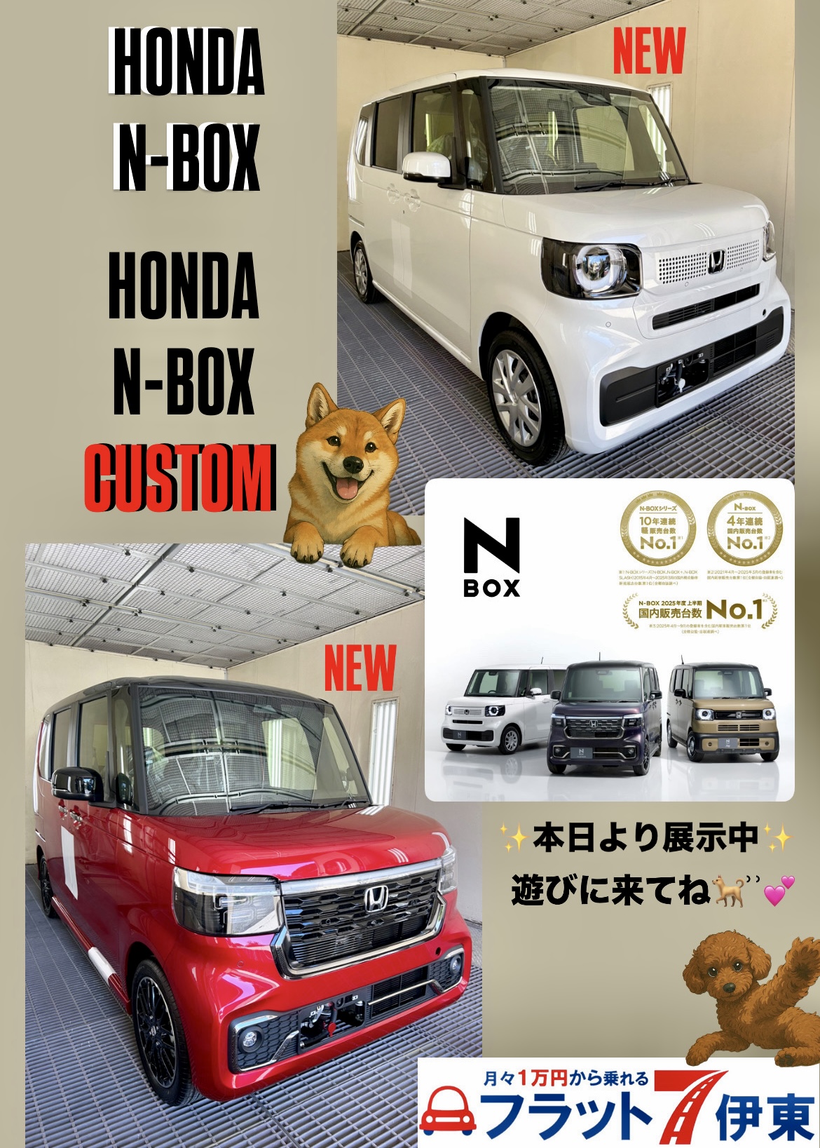 【伊東店】✨️Nシリーズ展示車両追加のお知らせ✨️｜静岡県カーリース専門店ならフラット７静岡会