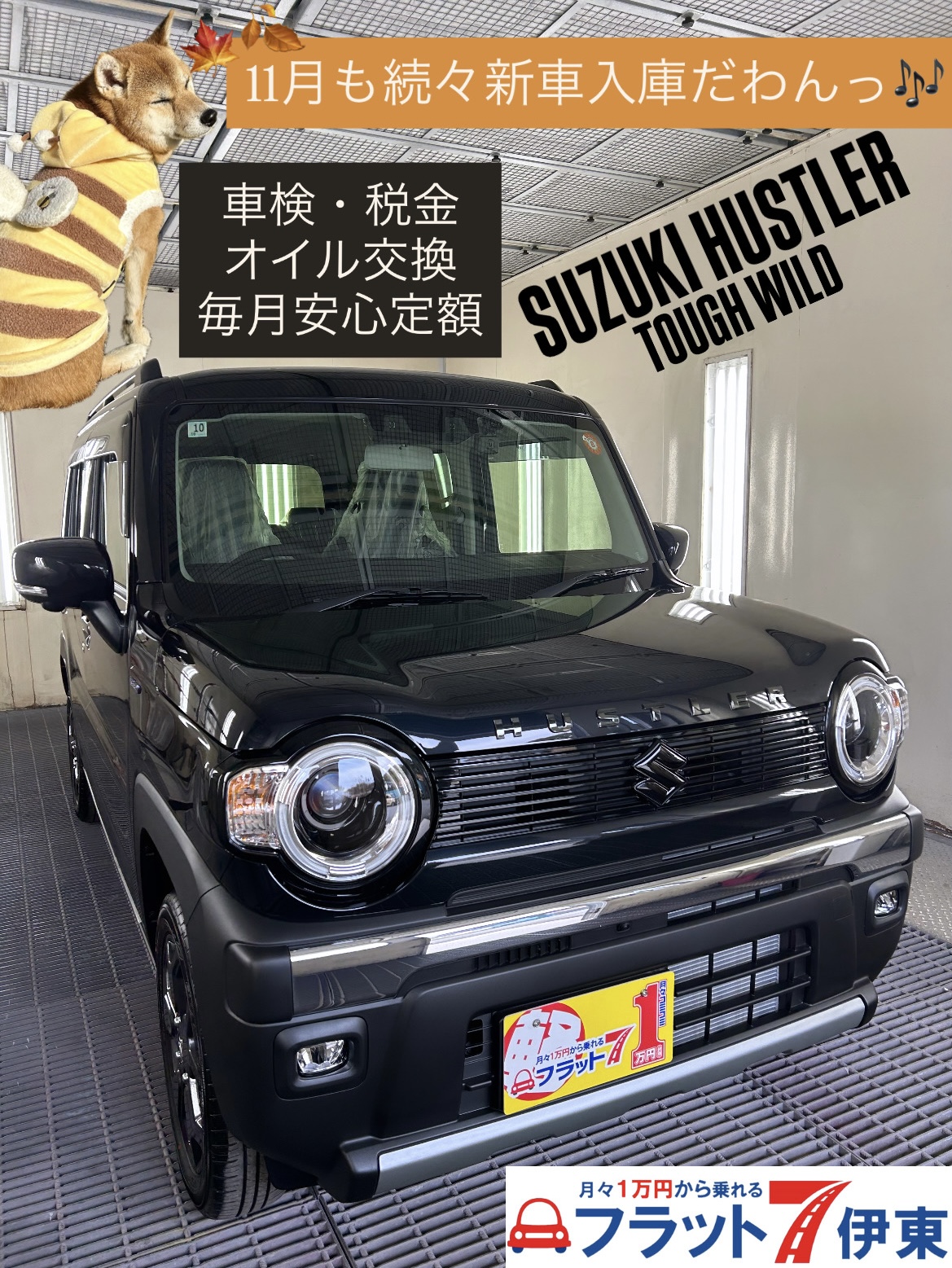 【伊東店】１１月も新車が続々入庫中♪ 未登録⭐即納車可能な新車のご用意もございます♪｜静岡県カーリース専門店ならフラット７静岡会