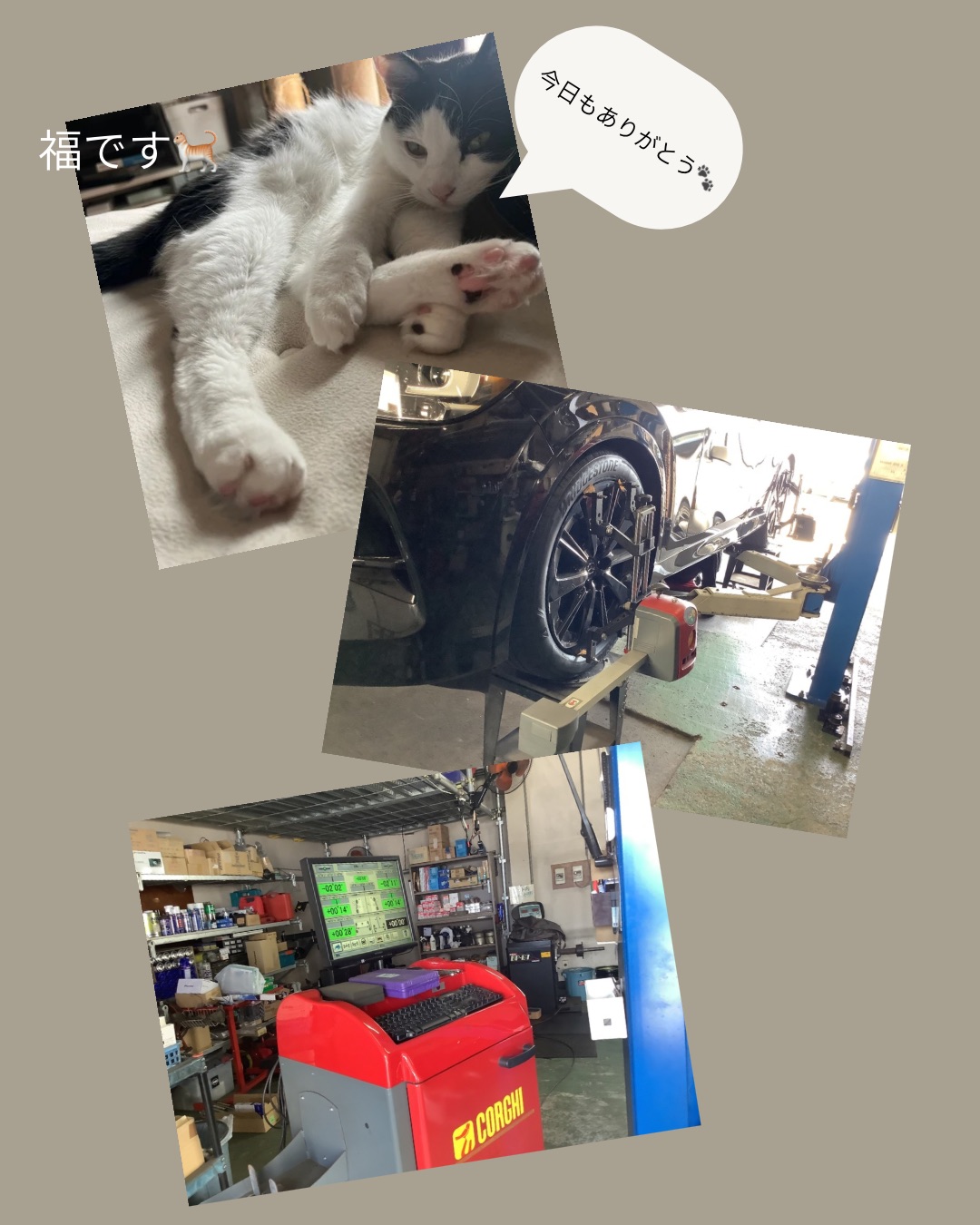 🚘カーメンテナンスはAuto  Radunoにお任せください🛞🔧【フラット7藤枝店】｜静岡県カーリース専門店ならフラット７静岡会