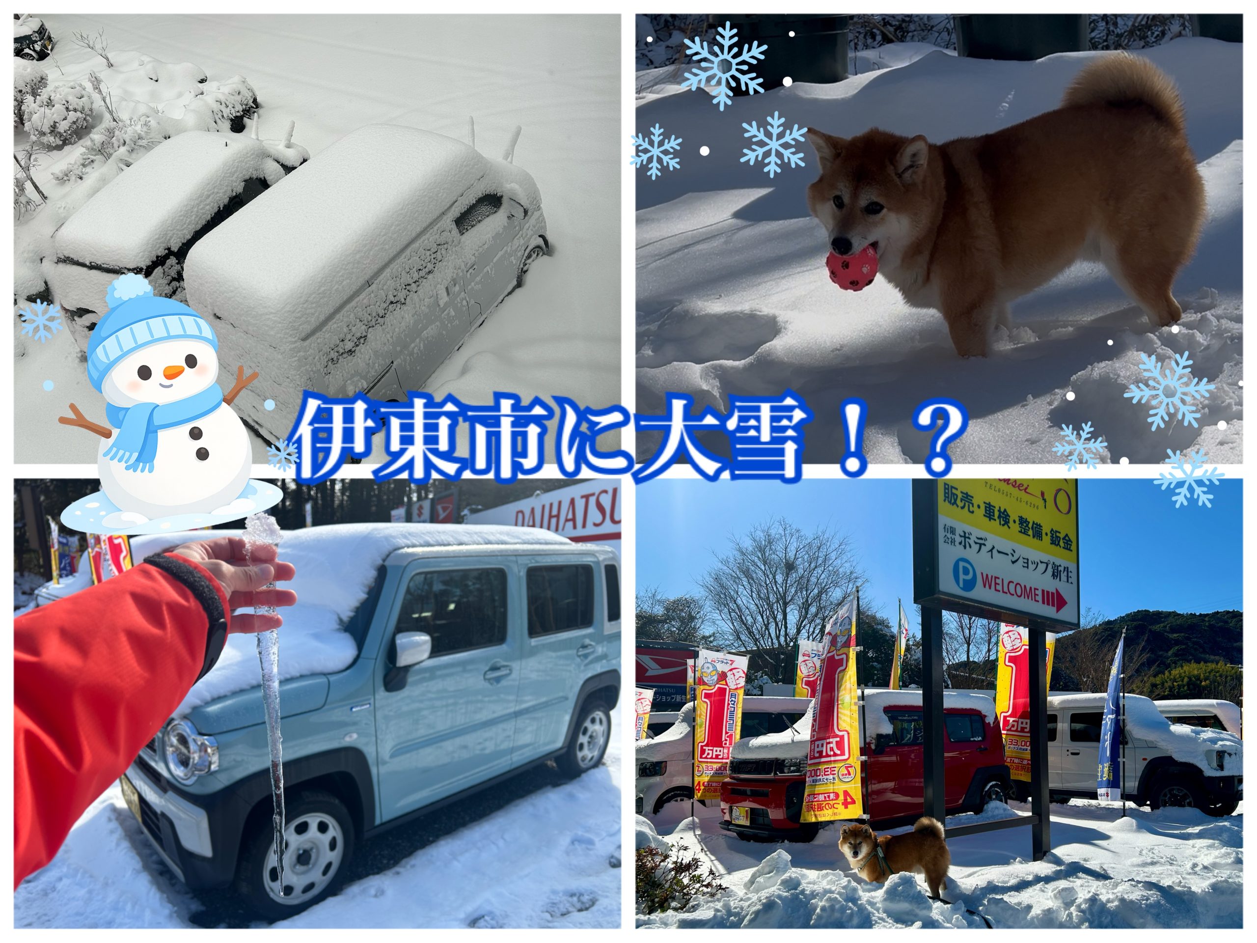 【伊東店】記録的な大雪でしたね☃️｜静岡県カーリース専門店ならフラット７静岡会